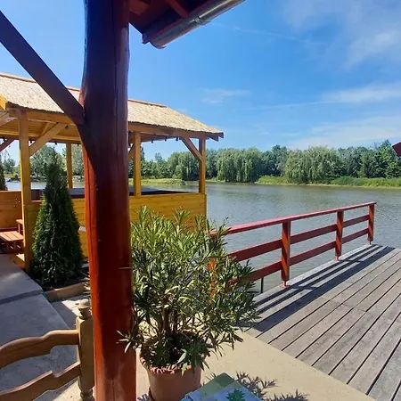 Golya-to Vendeghaz Vajdácska